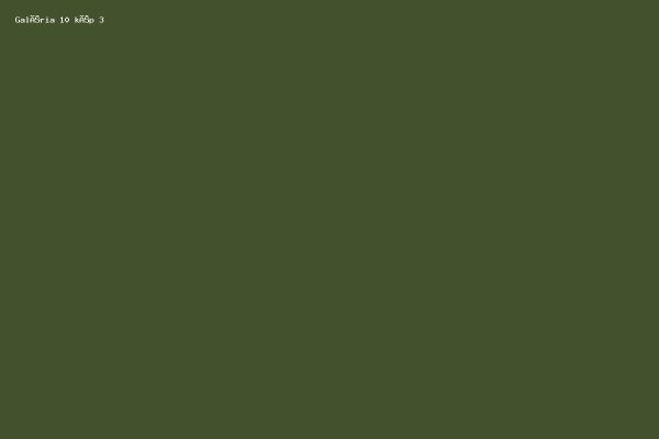Galéria 10 kép 3